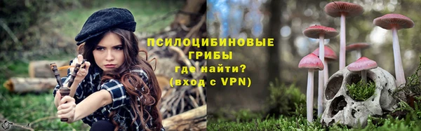 дмт Абаза